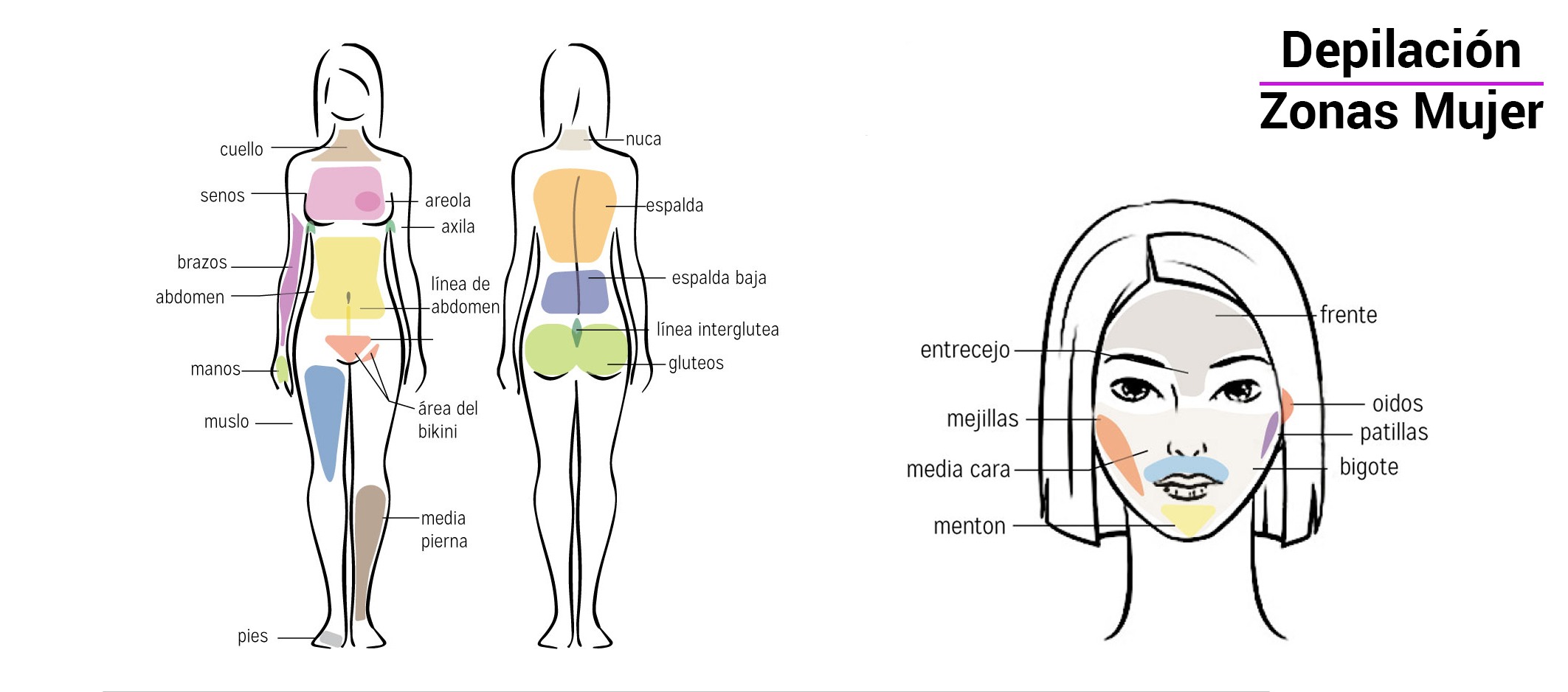 Ãreas de tratamiento Mujer